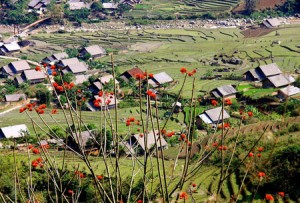 Hồ Village - beauty and charm in Sapa