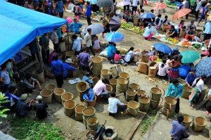 Muong Khuong market (every Sunday) 