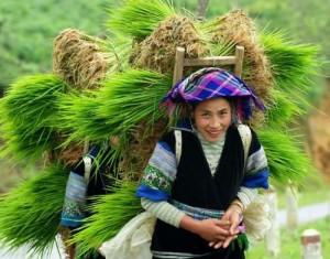 The Hmong in Sapa 1