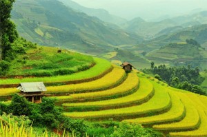 Best time to travel Sapa