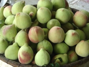 Sapa peach - a special and tasty fruit 