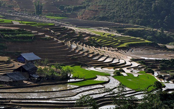Enjoying a completely different Sapa with the terraced rice fields in water season