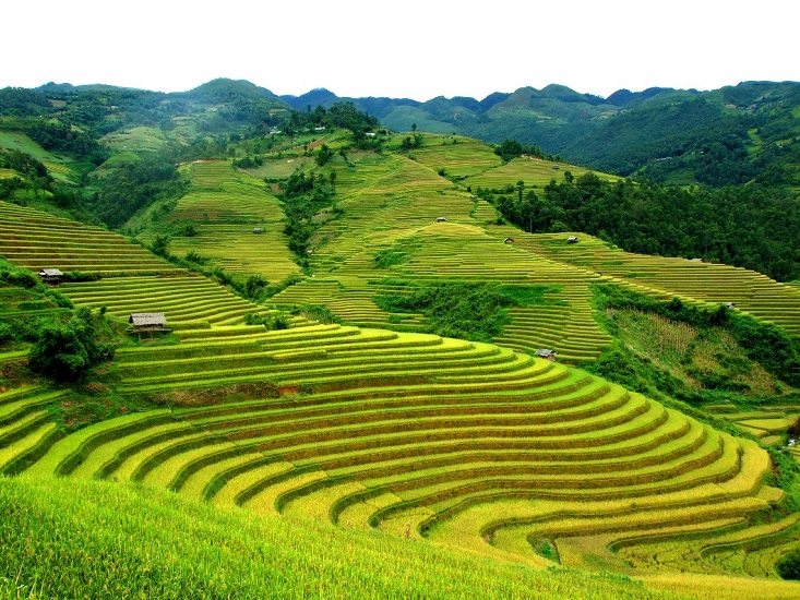 Why say:  Sapa - a destination perfect for a memorable trekking experience ?