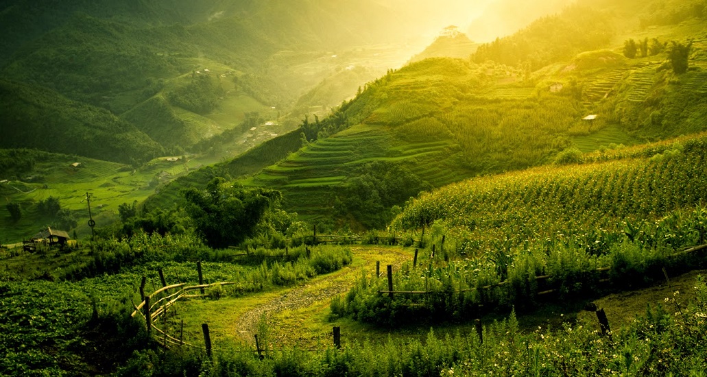 The reasons make to you  have to book a Sapa tour right now !