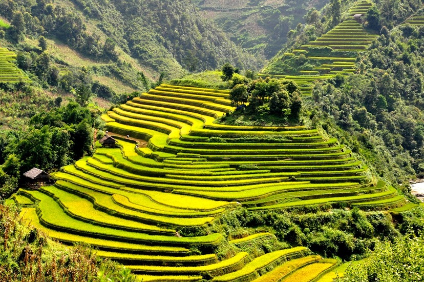 Sapa – paradise of terraced rice fields and best destination for trekking