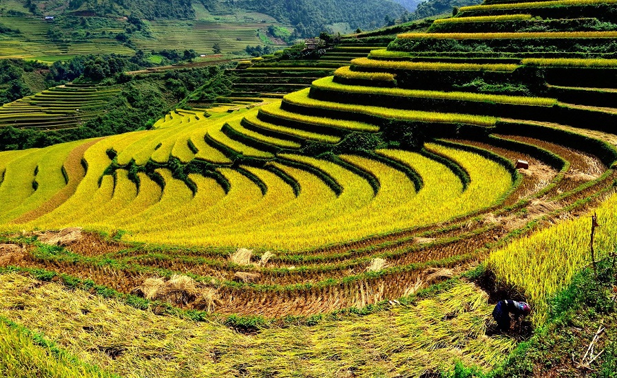 Sapa – paradise of terraced rice fields and best destination for trekking