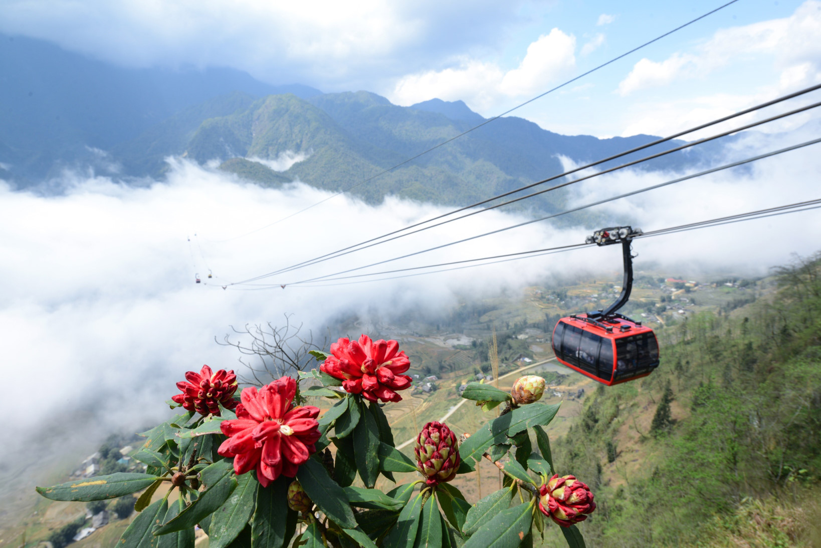 The colors of the flowers on Sapa town