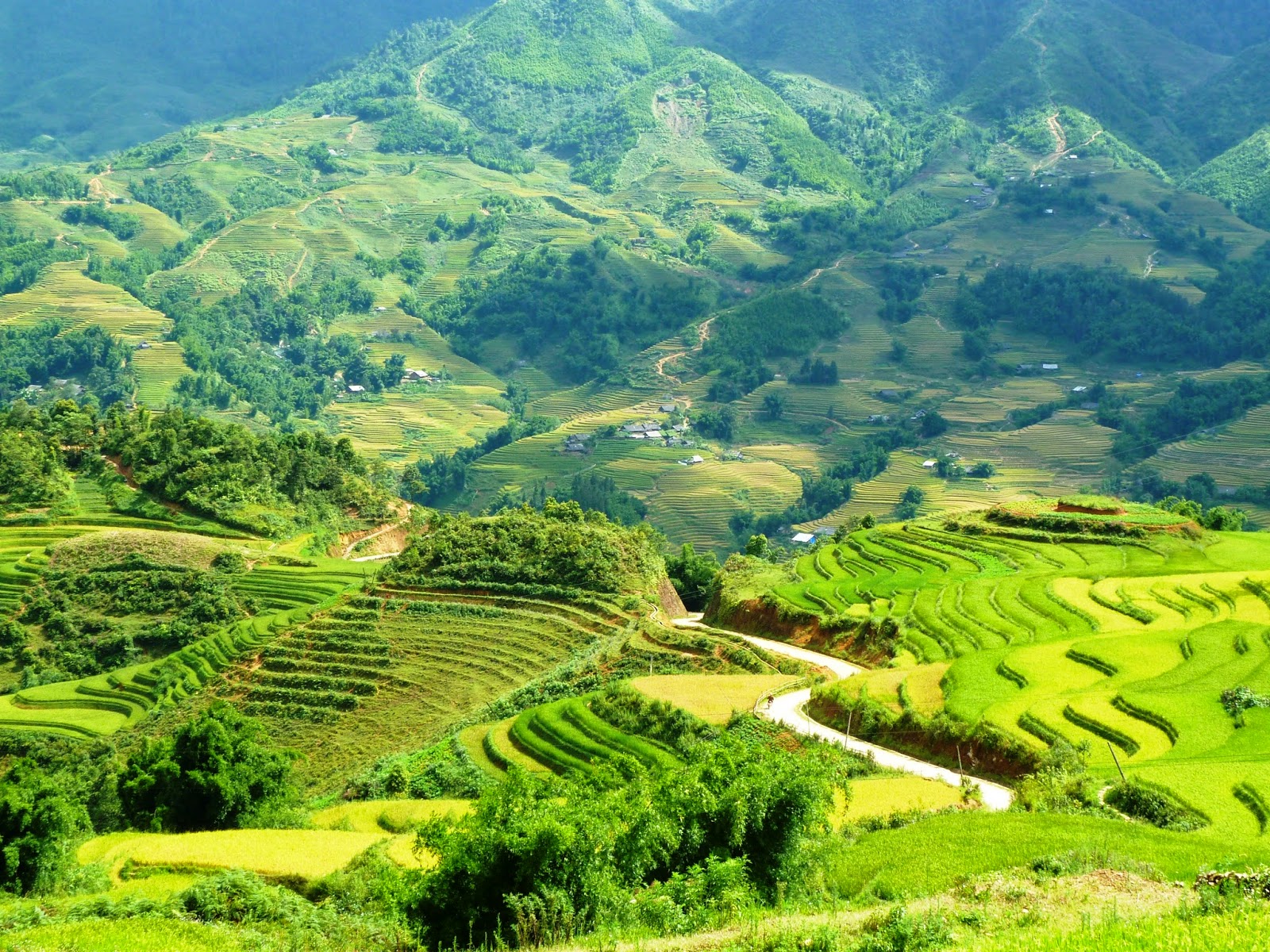 Explore Northern Vietnam with a completely new journey druing 9 days