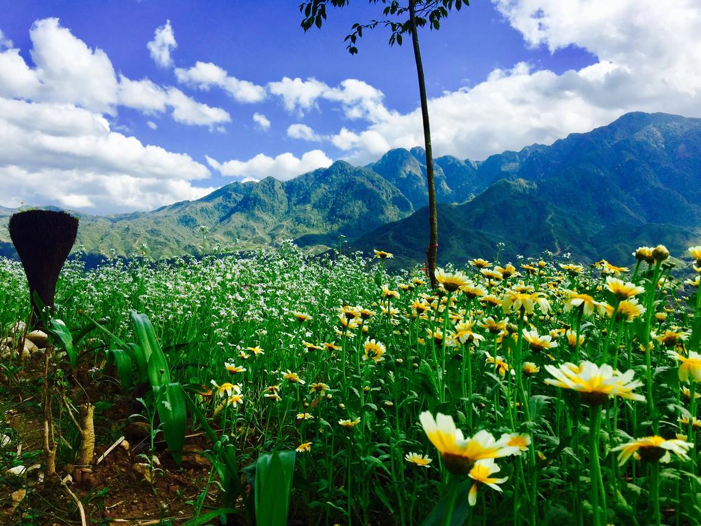 Top reasons why Sapa is perfect for your honeymoon