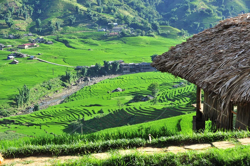 From Sapa to Mu Cang Chai - The perfect combination for a trip