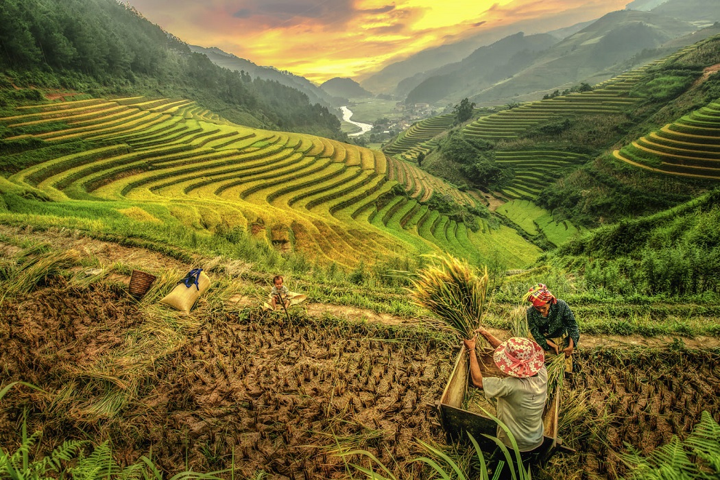 The charming beauty of Northern Vietnam in pictures