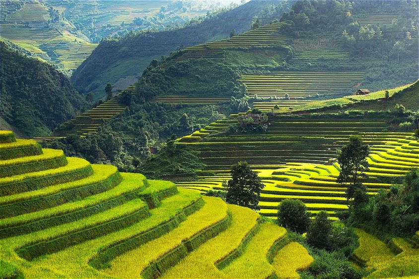 Interesting trekking journey in Northern Vietnam is most interested by visitors in September