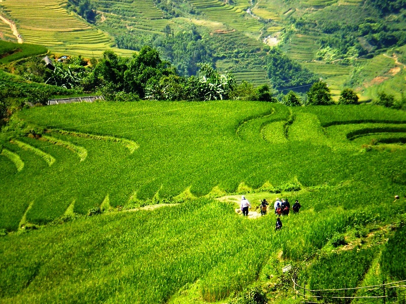 Suggestions on the best Sapa Luxury Tours 