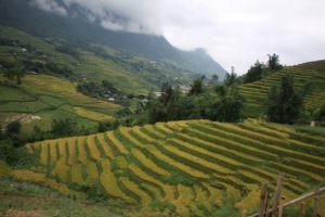 Sapa Tours From Hanoi 2 days for weekend vacation