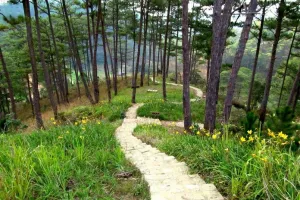Da Lat