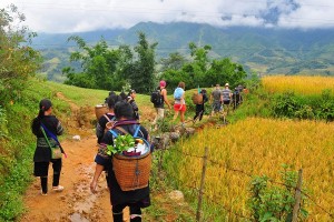 Explore Muong Hoa Valley
