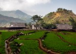 Sapa Trekking - Muong Hoa Valley