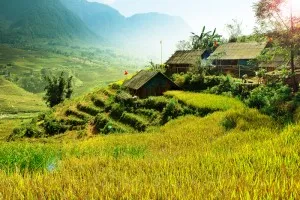Sapa Vietnam