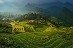Sapa terraced rice fields 14