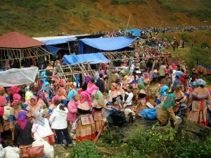 Cao Son market (every Wednesday)