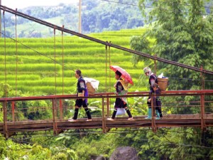Muong Hoa Valley (13)
