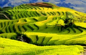 SAPA WALIKING TOUR