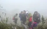 Sapa covered by frost 15