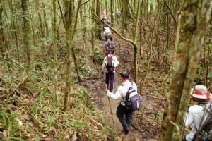 Fansipan Climbing Tours (2)