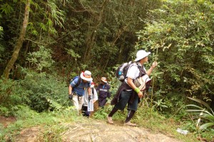 Fansipan Climbing Tours (6)
