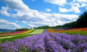 Da Lat Vietnam - Best place for your vacations 2017