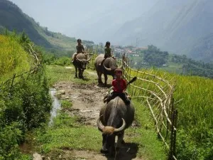 The reasons make to you have to book a Sapa tour right now !