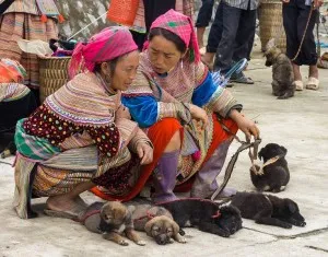 Discover Sapa with a Bac Ha Market tour only with 10 beautiful photos