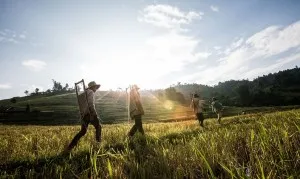 Best Of Northern Vietnam Tour2