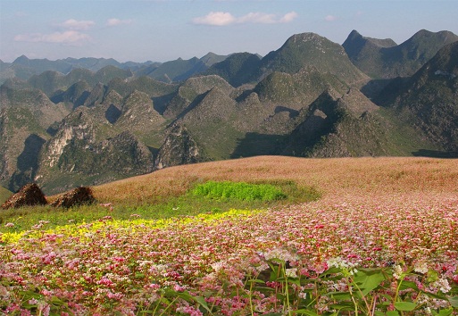 Ha Giang - Northeast Vietnam