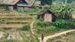 Hard trekking - Seo Trung Ho Village (2)