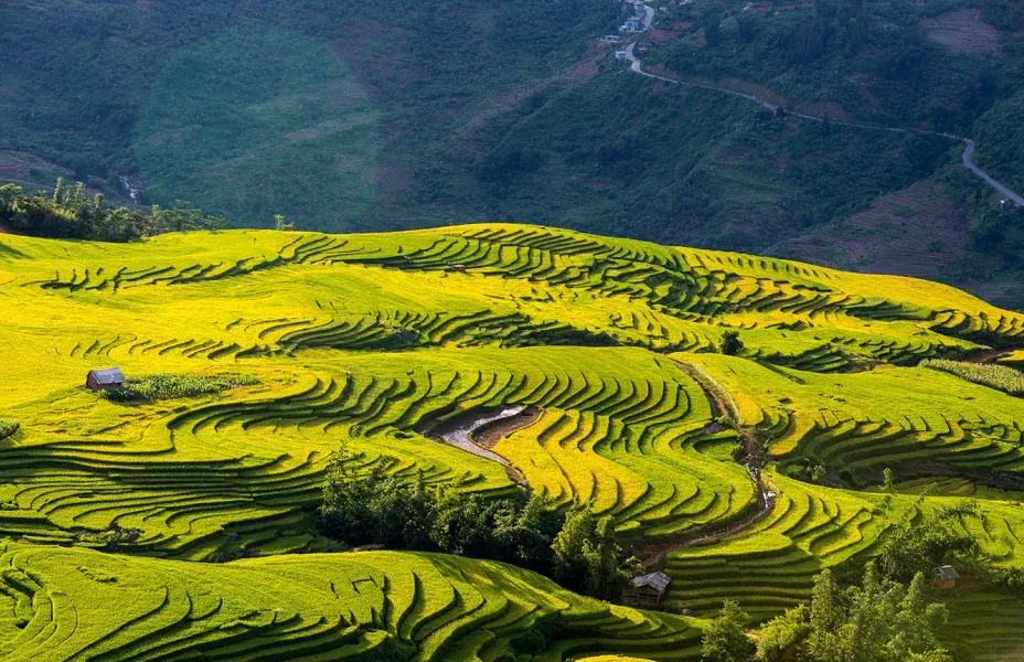 Y Ty (Lao Cai) gives you a completely different feeling from other places. You will see many terrace fields scattered at the foot of the mountain, with all forms and different colors. You can also see seas of clouds on the field. 