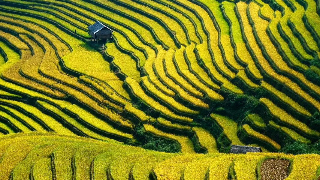  Travelling to Vietnam in September - October, what to visit ?