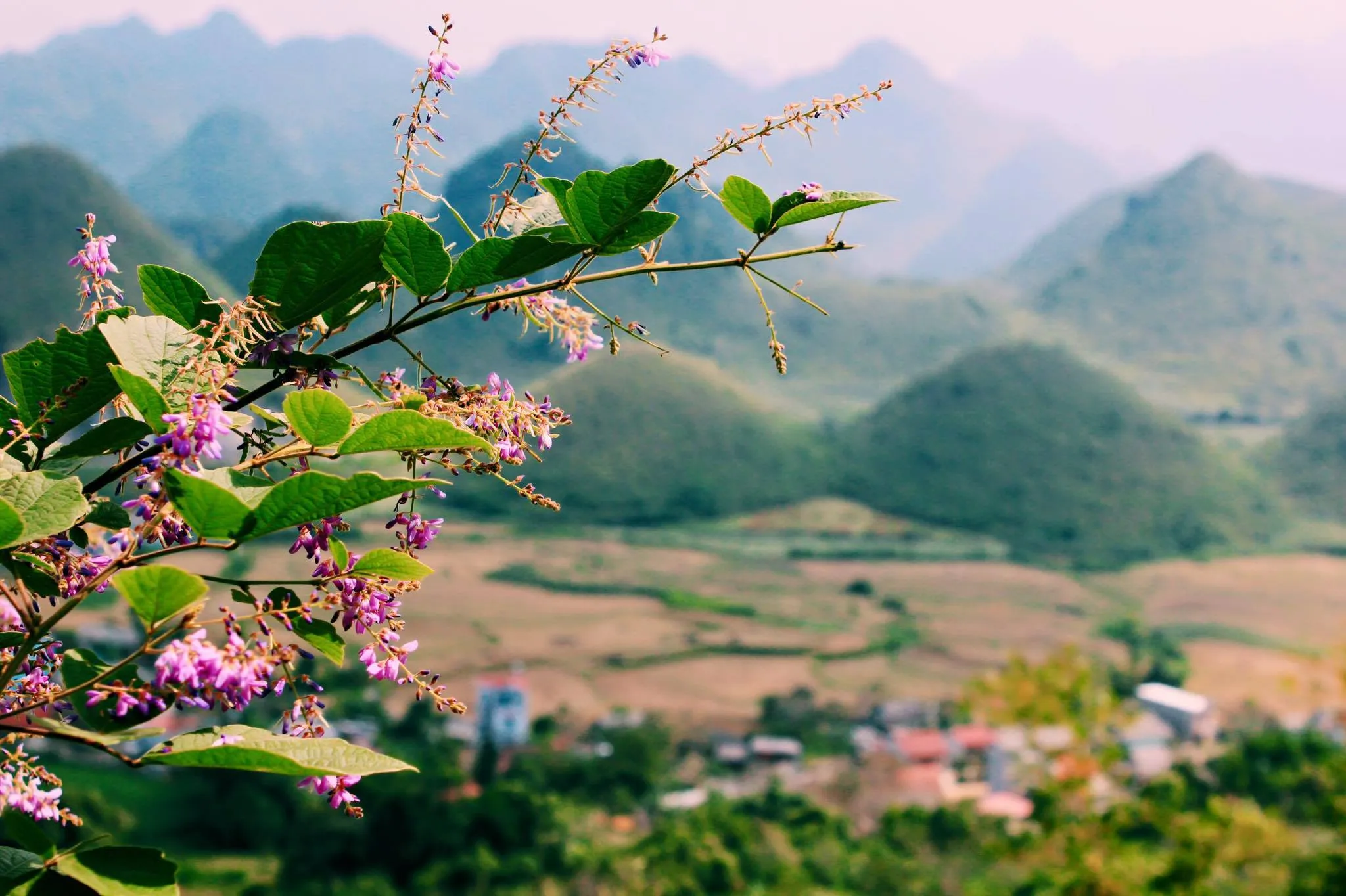 Overwhelming mountainous landscapes of Ha Giang in late autumn