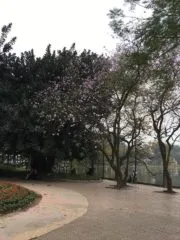 Hanoi among 13 best places to visit in March, 2018 1 US news website names Hanoi among 13 best places to visit in March
