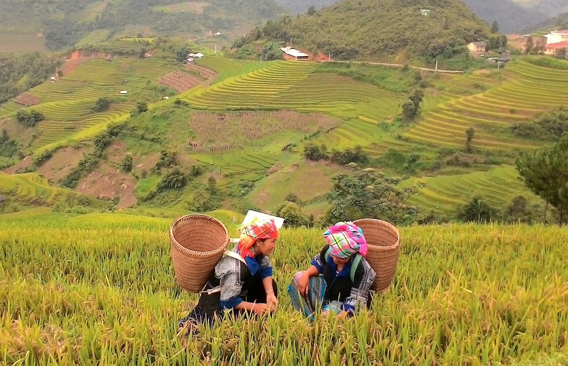 Best of Northern Vietnam Tour