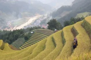 Highlight Mu Cang Chai