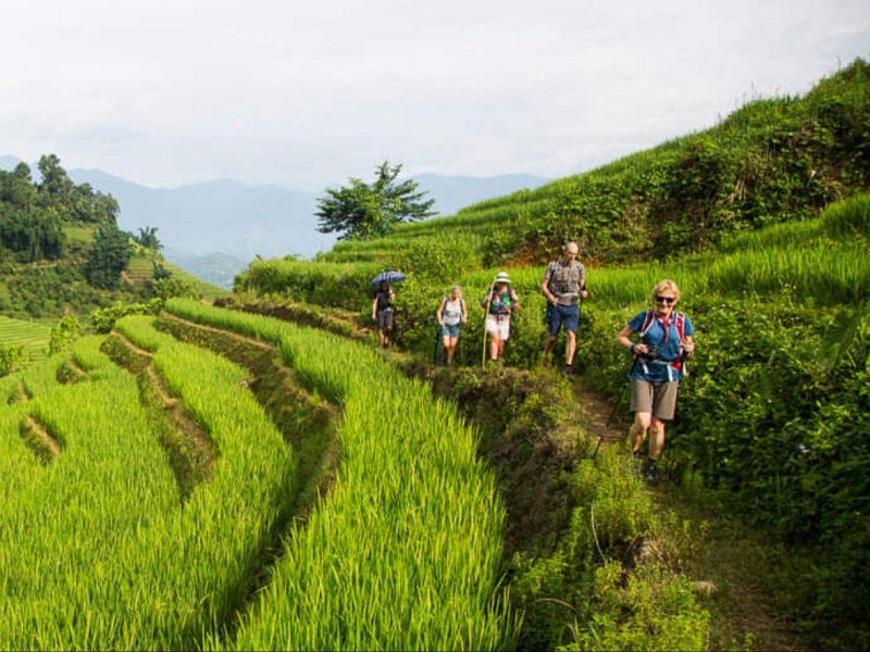 Highlight Sapa Trekking Tour 2 Days 3Nights                
