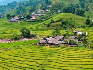 Sapa valley view trekking tours - sapatoursfromhanoi.com