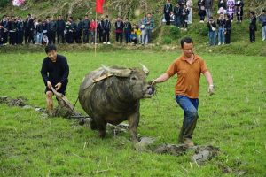 Roóng Poọc Festival in Ta Van, Sapa's most authentic spring event 3 Roóng Poọc Festival 2026 (12)